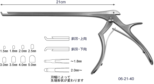 脊椎(スパイン)