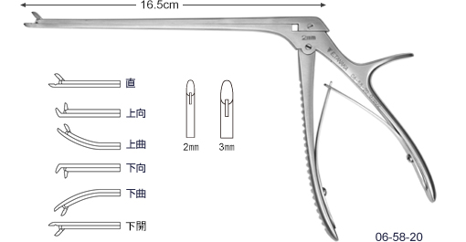 関節(ジョイント)