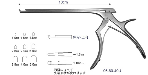 脊椎(スパイン)